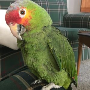 Meet your Posher, Kate